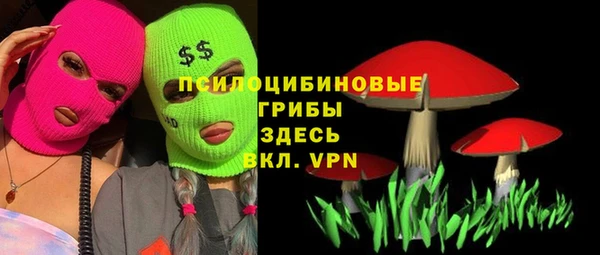 твердый Ладушкин