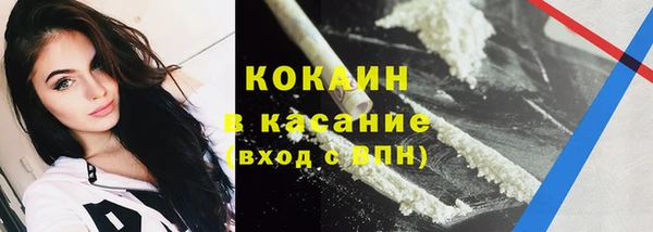 твердый Ладушкин