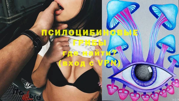 трава Верхнеуральск