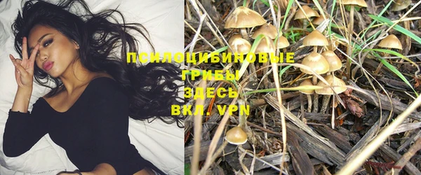 дживик Лабытнанги