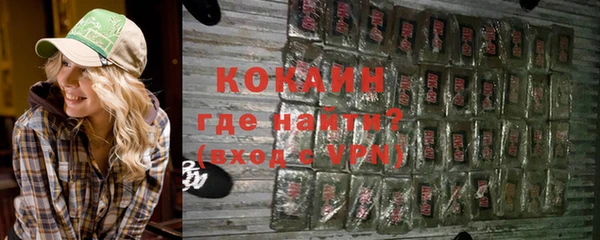 твердый Ладушкин
