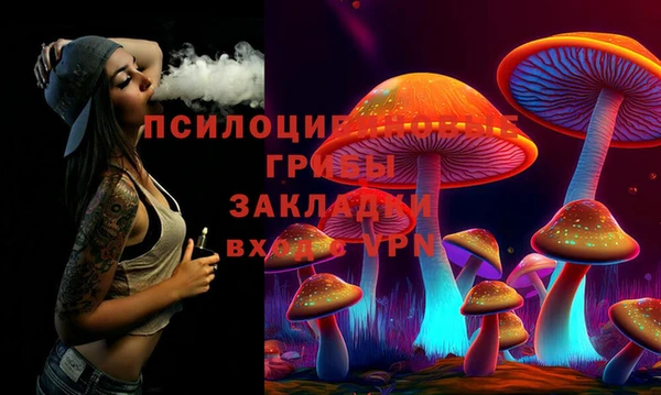 твердый Ладушкин