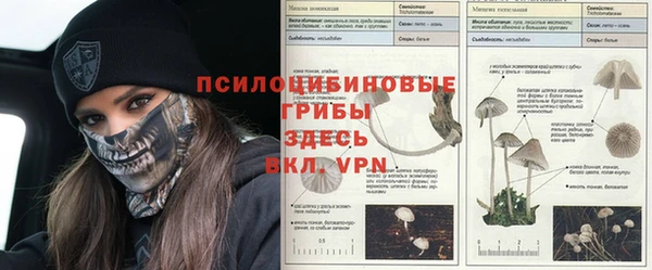 твердый Ладушкин