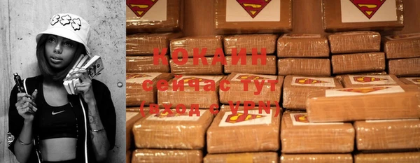 твердый Ладушкин