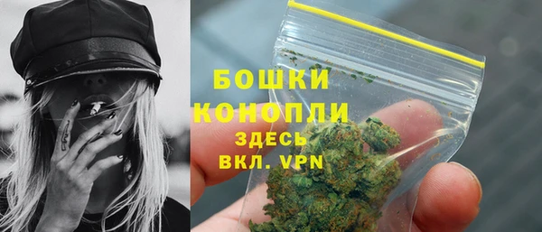 твердый Ладушкин