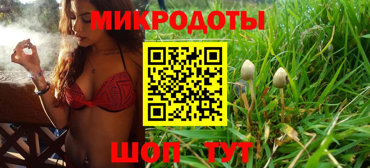 наркота  Чапаевск  Галлюциногенные грибы прущие грибы 