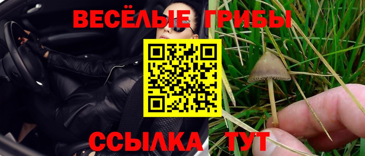 что такое   Галлюциногенные грибы MAGIC MUSHROOMS  Вход с VPN  Чапаевск 